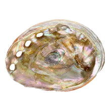 Load image into Gallery viewer, Small Threaded Abalone Shell Vives de la Cortada S.L