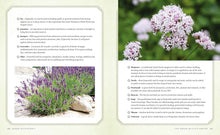 Load image into Gallery viewer, Green Witchcraft - Kirja Paperinoita