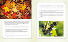 Load image into Gallery viewer, Green Witchcraft - Kirja Paperinoita