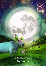 Ladda upp bild till gallerivisning, Moonology Manifestation Oracle - Korttipakka - Astrologia, Awakening, Hay House, Hengellisyys, Henkinen voima, Korttipakat, Korttipakka, Kuu, Kuun voima, Löydä itsesi, Moonology, Mystisyys, Noita, Noituus, Oraakkeli kortit, Tarot, Tarot-kortit, Yasmin Boland - Paperinoita