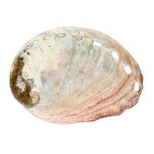 Load image into Gallery viewer, Small Threaded Abalone Shell Vives de la Cortada S.L
